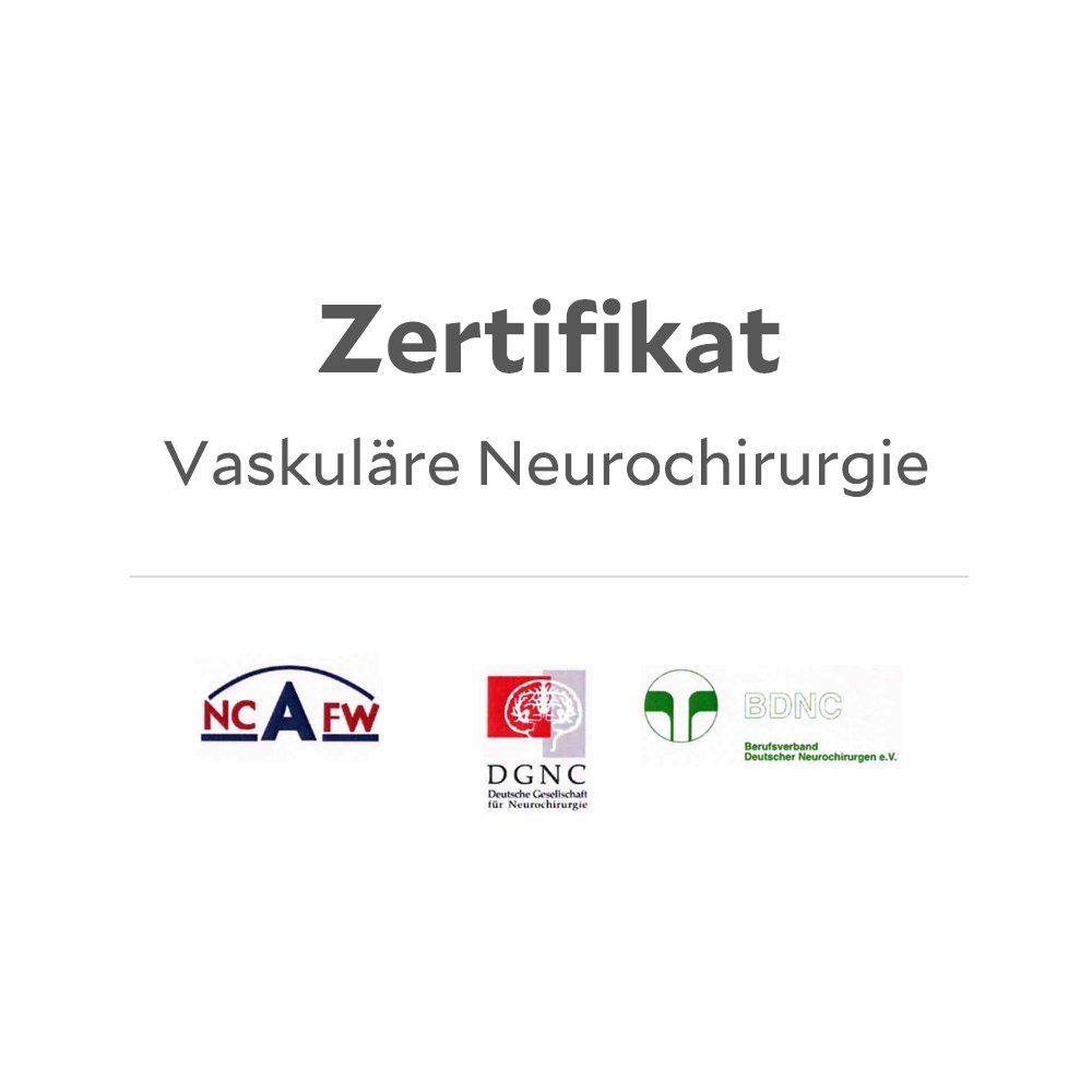 Logos der zertifizierenden Gesellschaft für vaskuläre Neurochirurgie 
