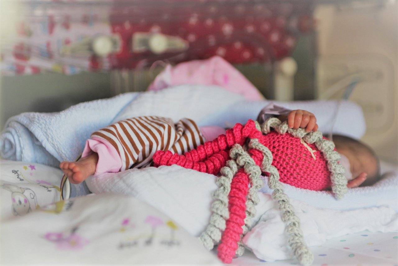 Frühchen im Inkubator mit Oktopus-Stofftier