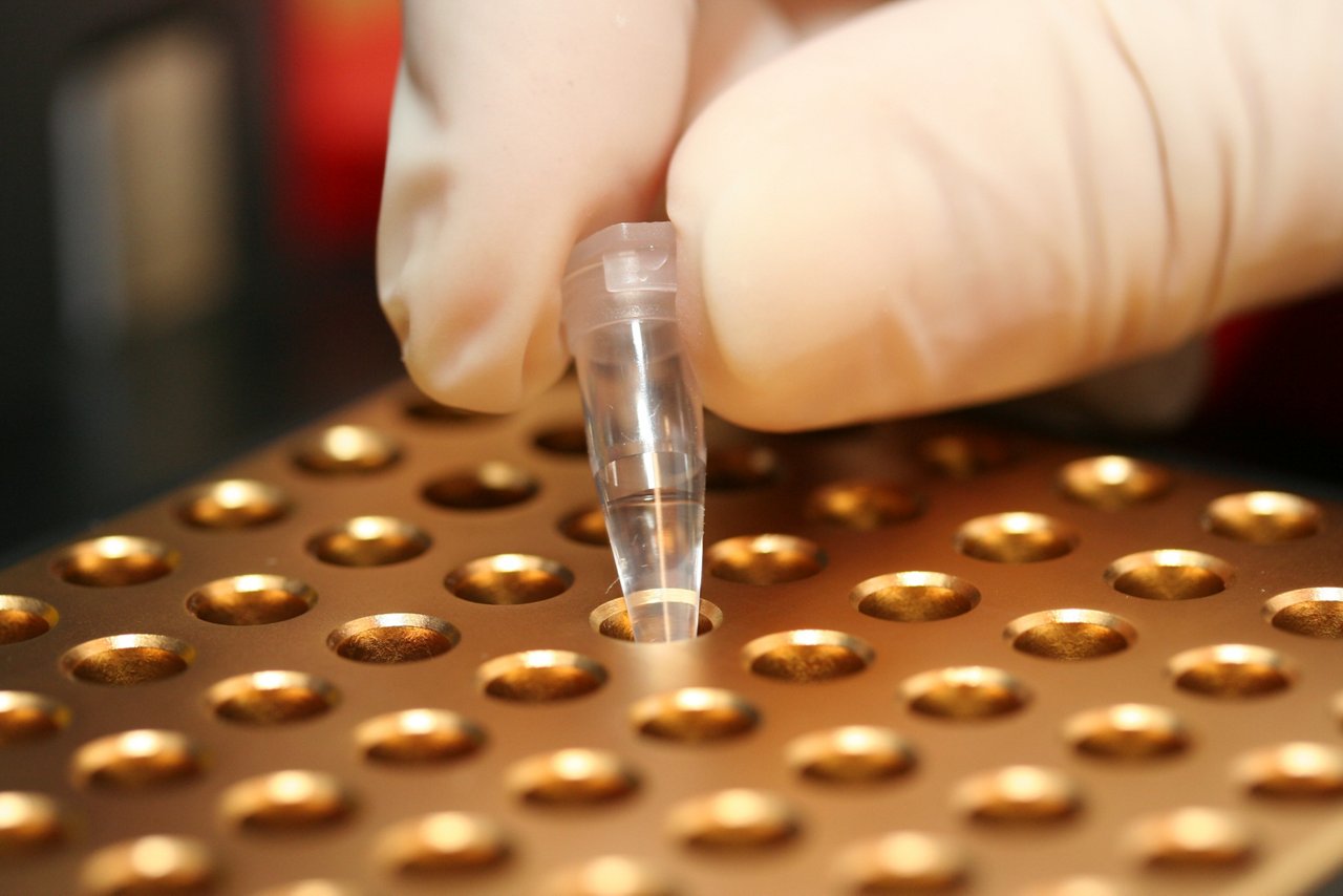 Pathologie Molekular