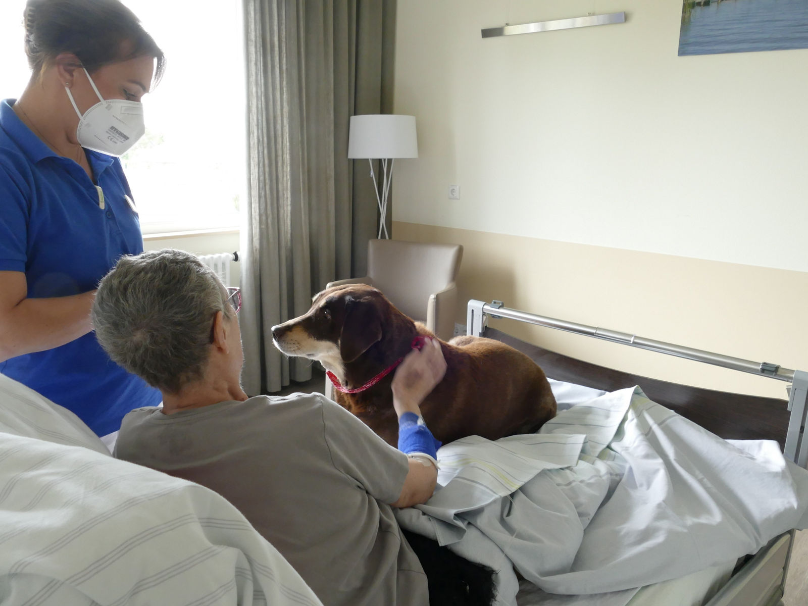 Palliativmedizin menschennah