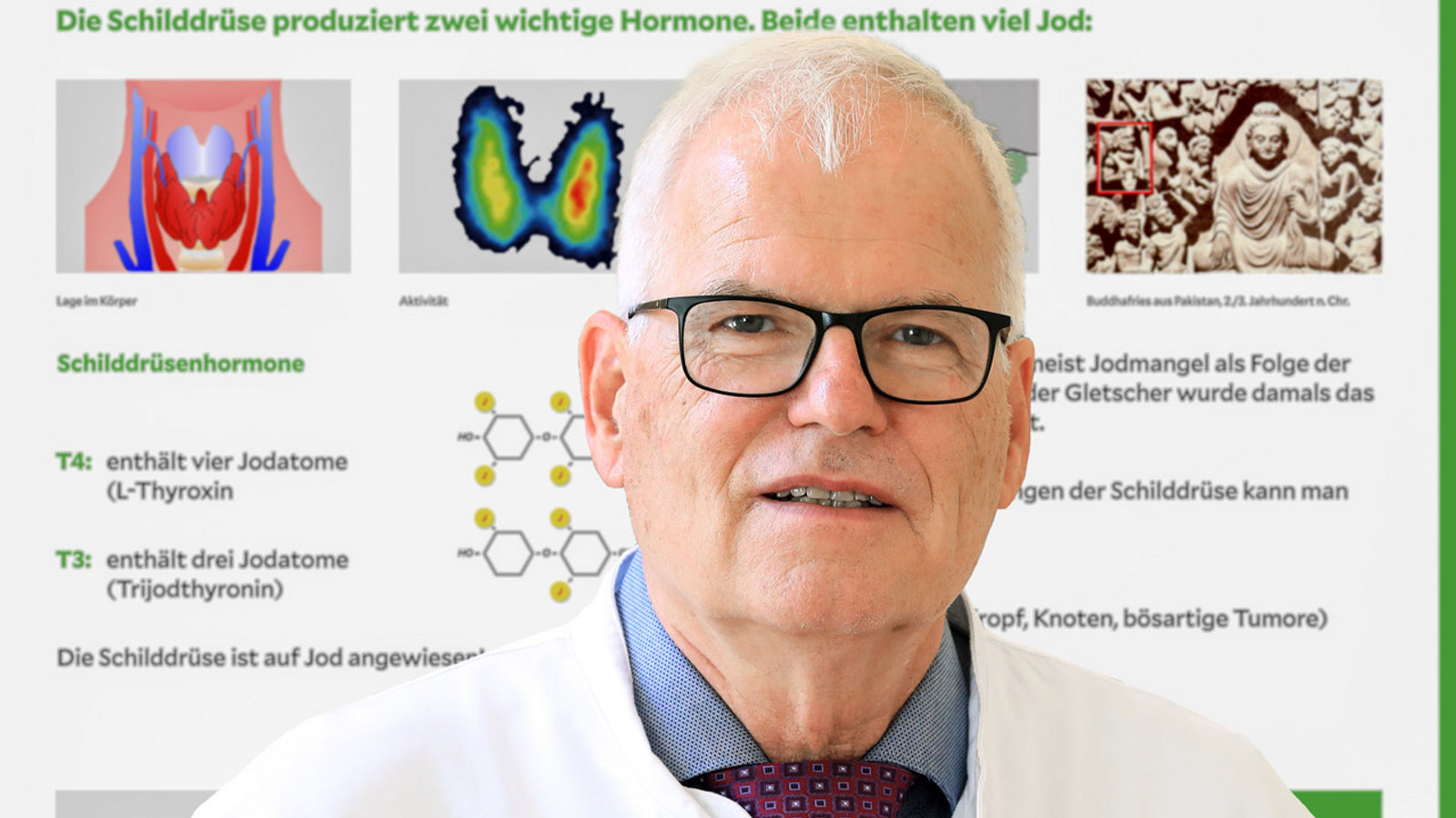 Warum sind wir groß oder klein, dick oder dünn, gestresst oder ruhig? Hormone regieren uns!