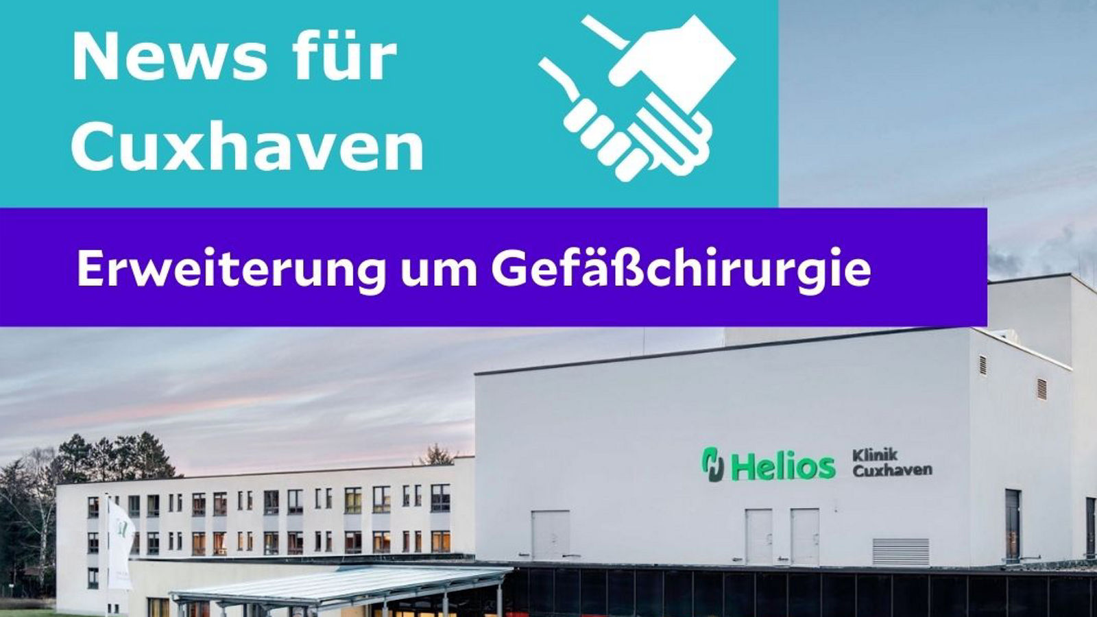 Phänomene_Schwangerschaft_Plazenta