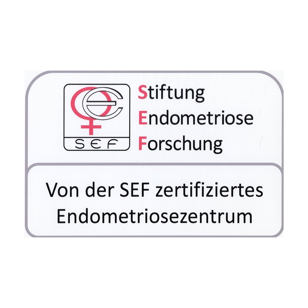 Logo - SEF-Stiftung Endometriose Forschung - von der SEF-zertifiziertes Endometriosezentrum