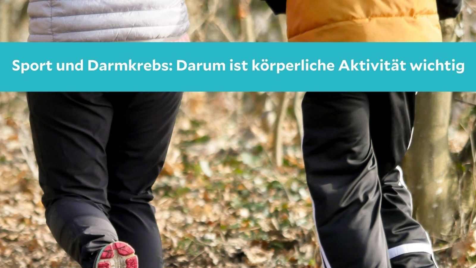 Sodbrennen Beitrag