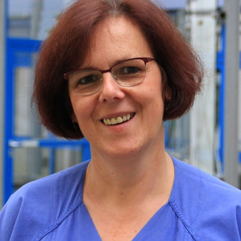 Sabine Stein