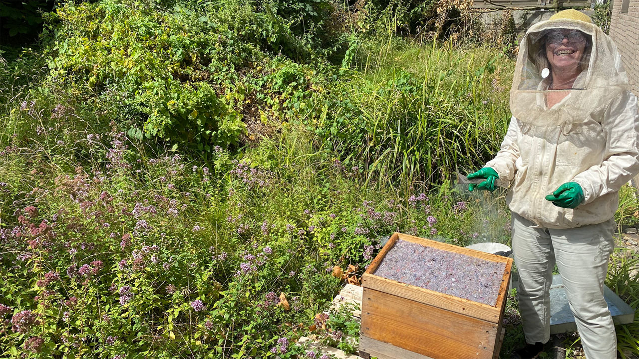 Helios St. Josefshospital Uerdingen wird Bienenpate