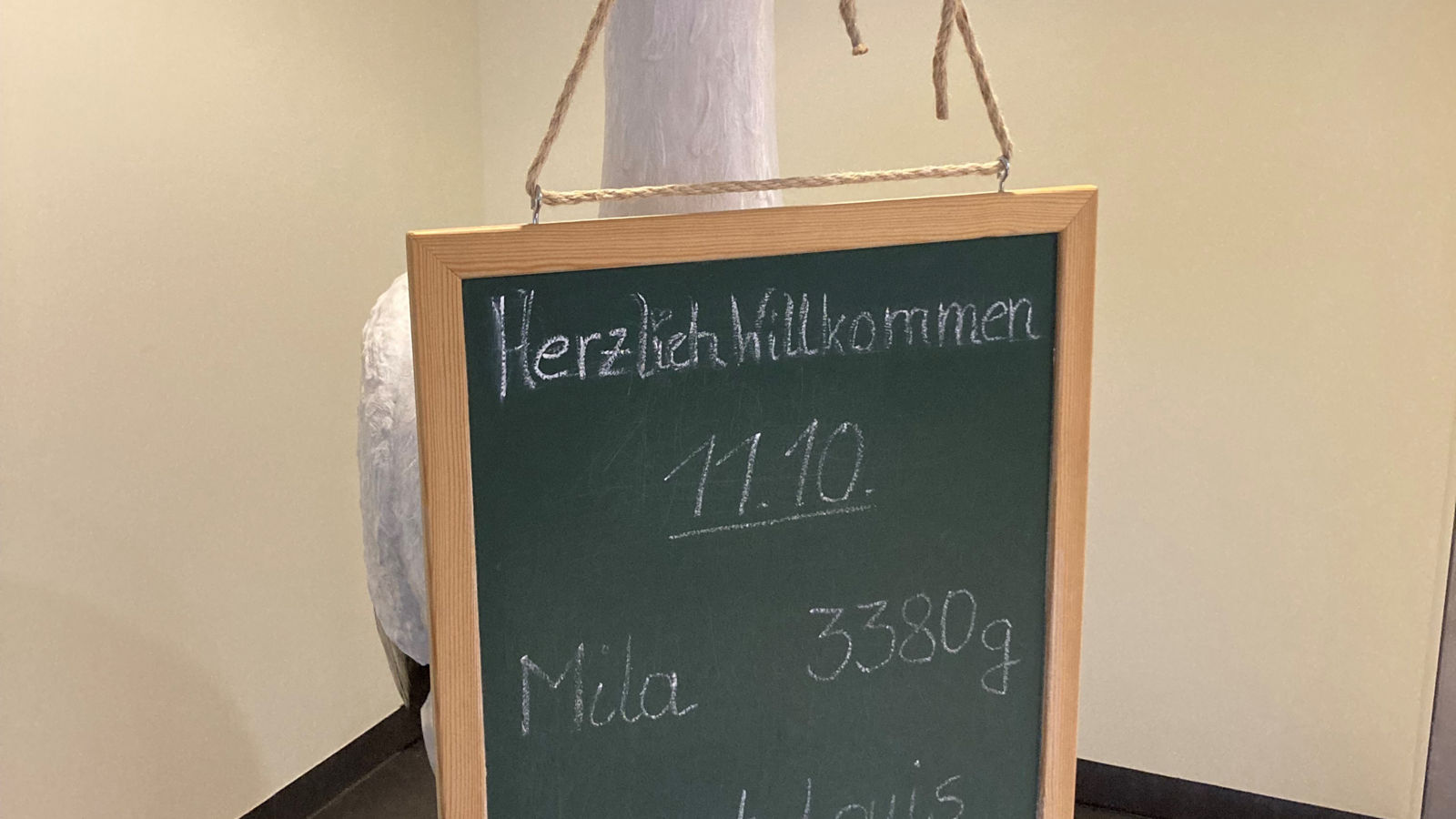 Helmstedter Klinik begrüßte 2022 510 Babys 
