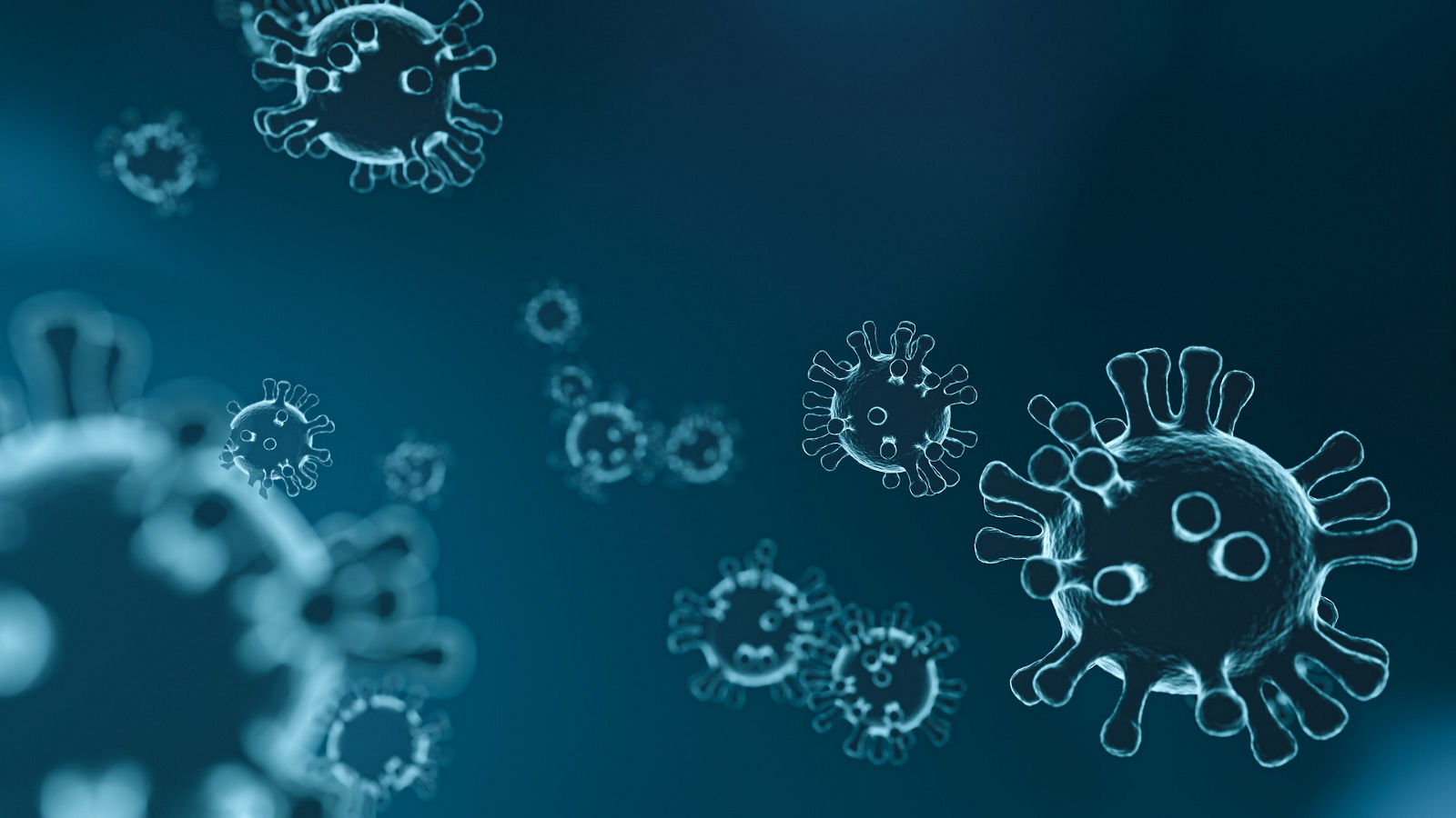 Corona-Virus: wichtige Informationen des Klinikums Freital und der Klinik Dippoldiswalde
