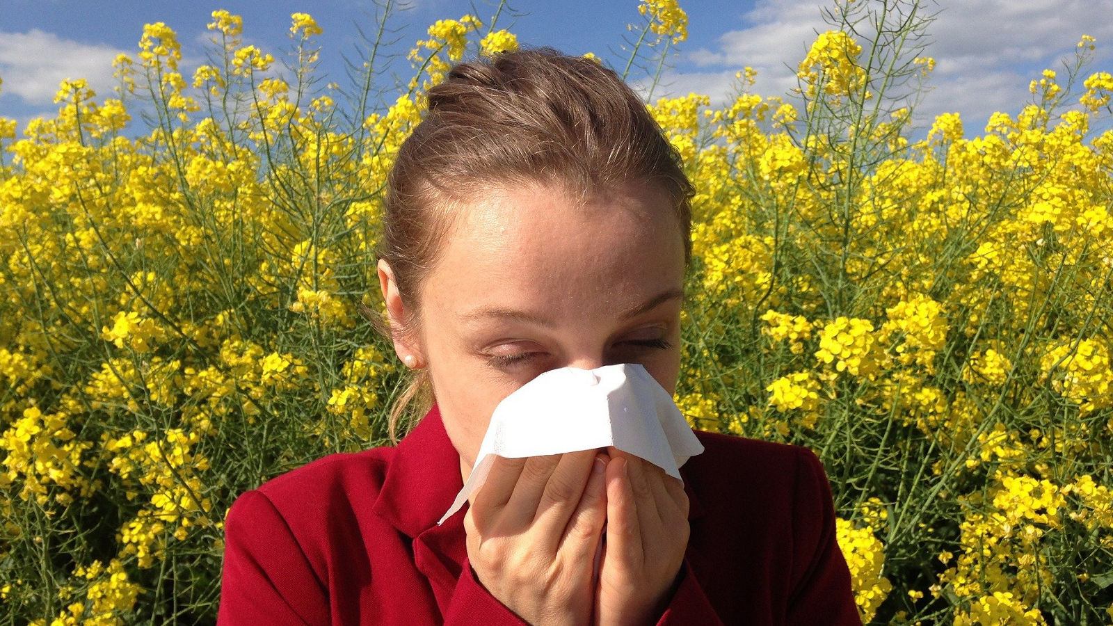 Hatschi:  Im Frühjahr kommt die Allergie zurück  