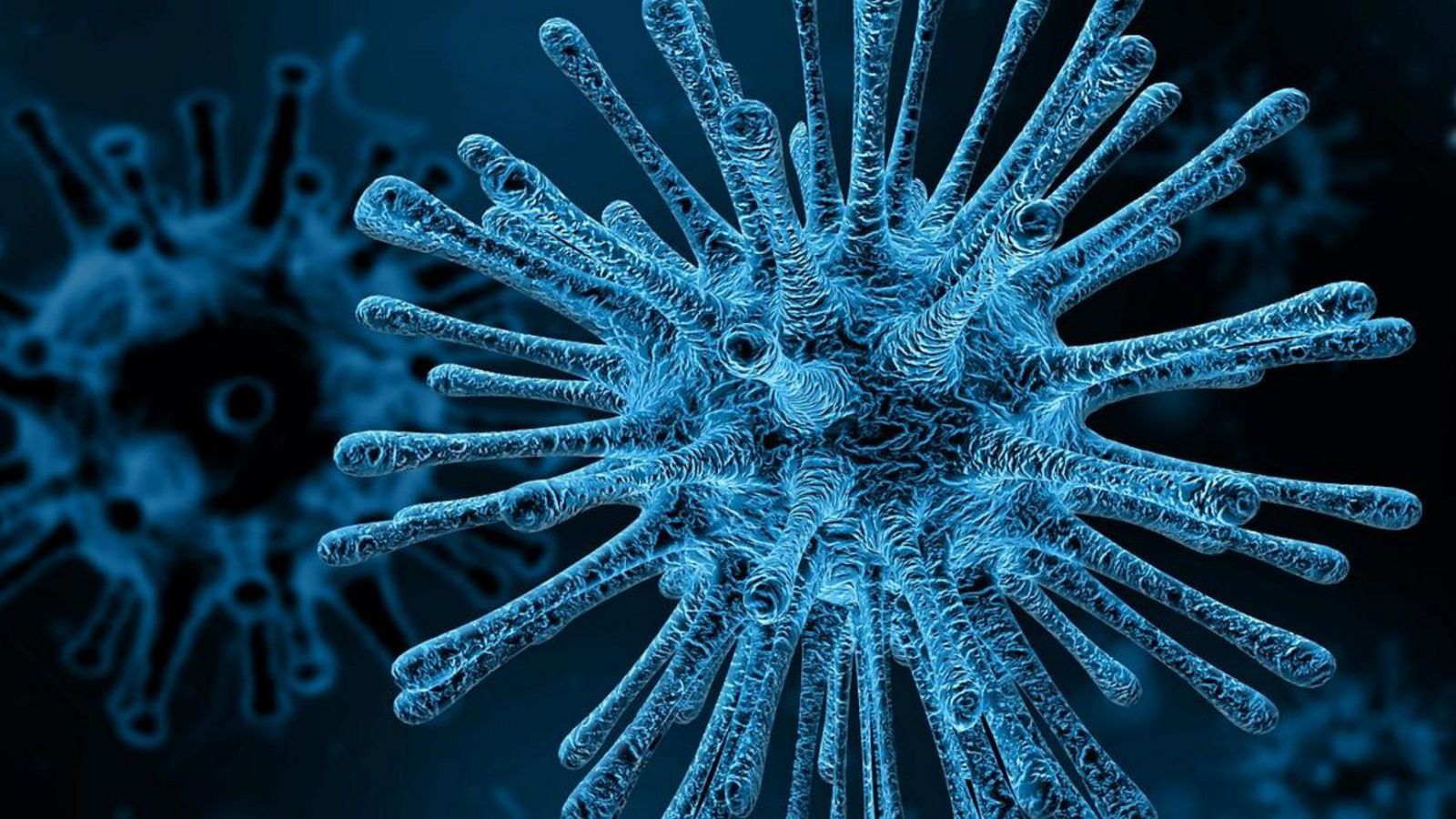 Verschärfte Besuchsregeln an den Helios Kliniken der Mansfeld-Südharz GmbH