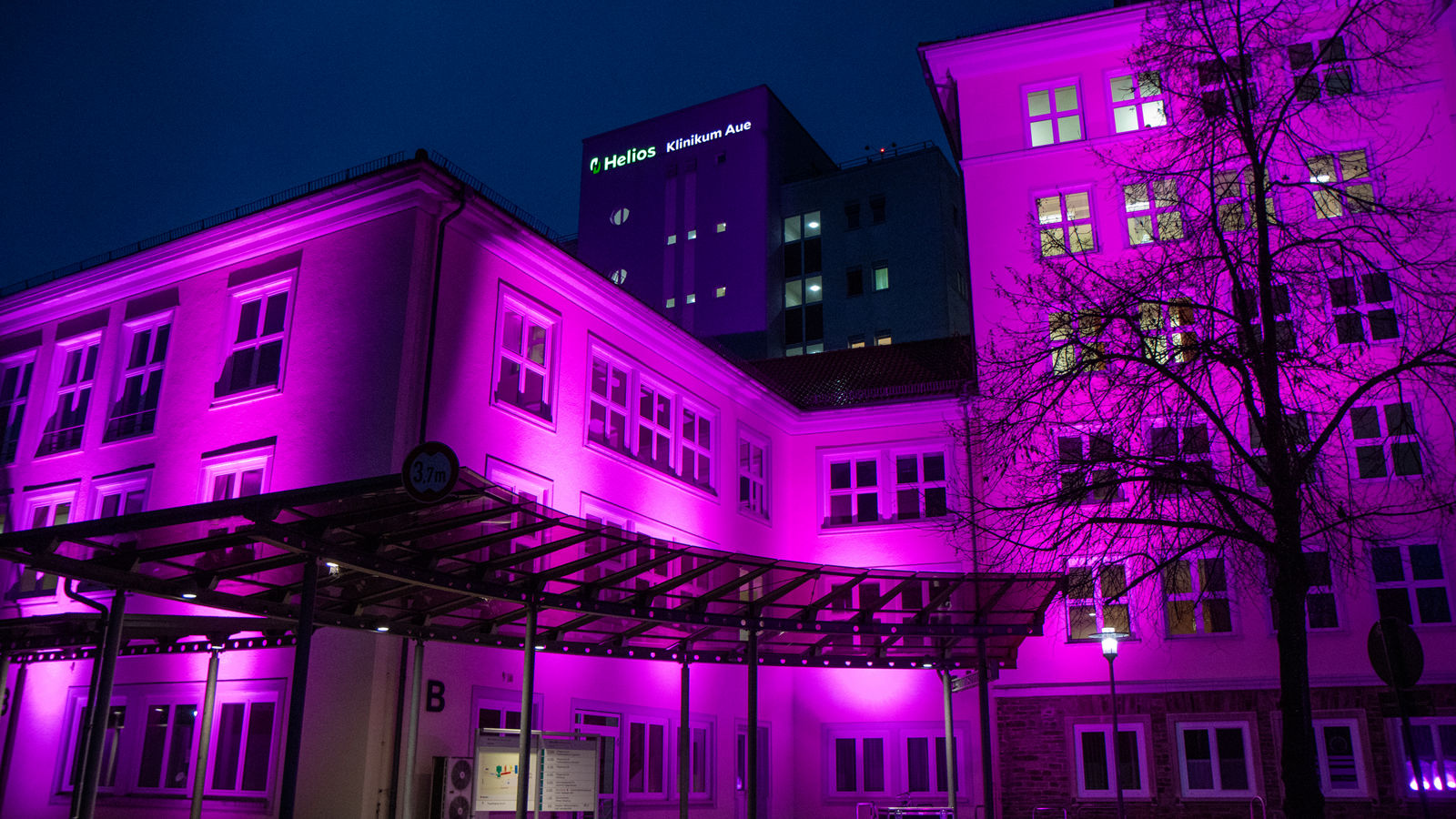 Weltfrühgeborenentag 2025 