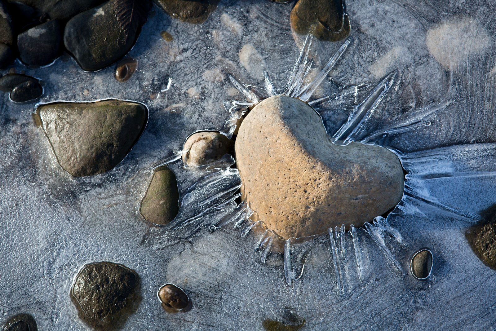 Medizinforum digital: Eiskalte Therapie – Kryoablation bei Vorhofflimmern