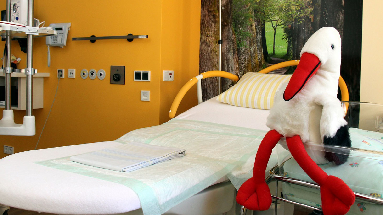Live den Kreißsaal am Helios Klinikum Pirna besichtigen