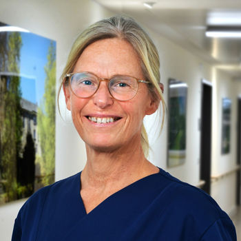 Elisabeth Steden
