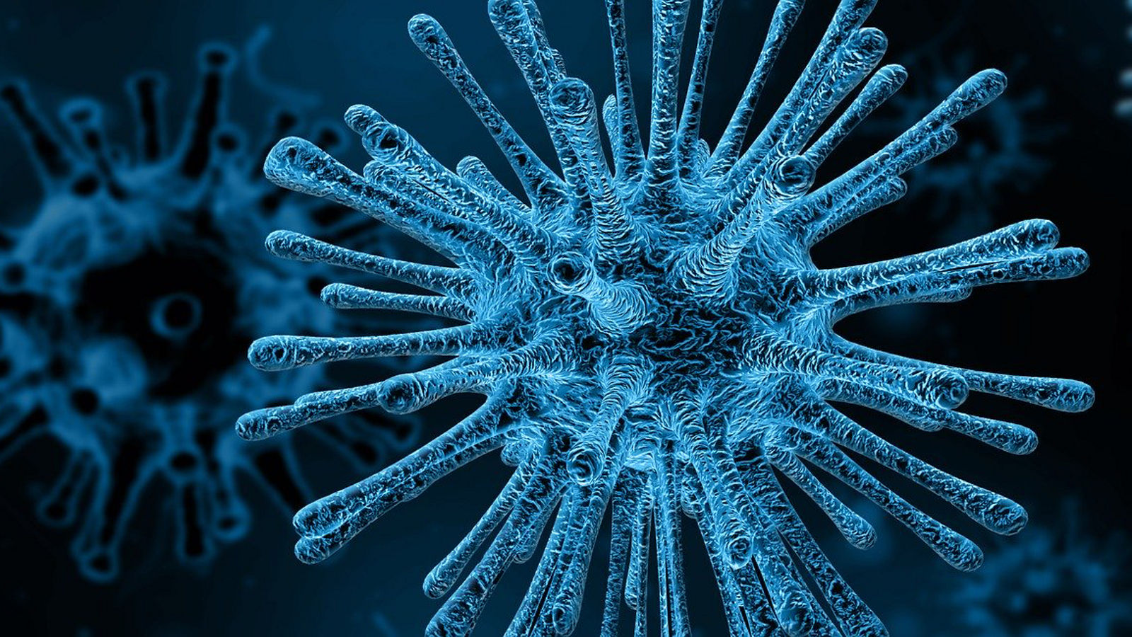 Corona-Virus: Wichtige Informationen des Helios Klinikums Pirna
