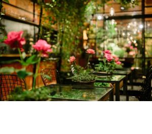 Insider-Tipps von BOSS / Tokio