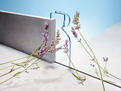 Aromatic ingredient for HUGO Fragrance Man