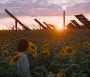 A woman standing in a field of sunflowers looking a solar farm.