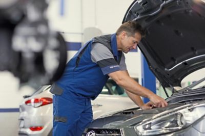 The Service Expert examines the vehicle with a checklist.