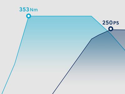 PS- und Drehmoment-Graph für den Hyundai i30 N 2.0 T-GDI Benziner mit 250 PS.