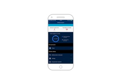 Schermata app Hyundai Bluelink con informazioni di diagnostica