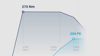 Infographic toont 275 Nm koppel en 150 kW (204 pk).