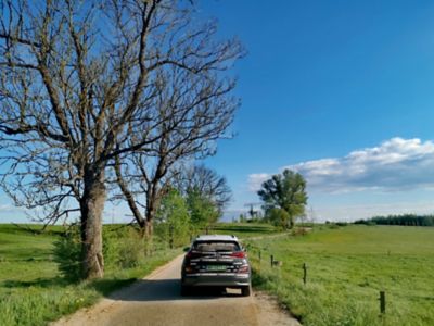 Hyundai KONA Electric z okleiną NOIZZ jedzie wiejską drogą wśród zielonych łąk.
