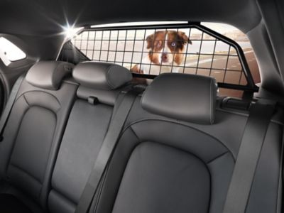 El protector de mascotas del Hyundai KONA encaja perfectamente entre los respaldos de los asientos traseros y el techo.