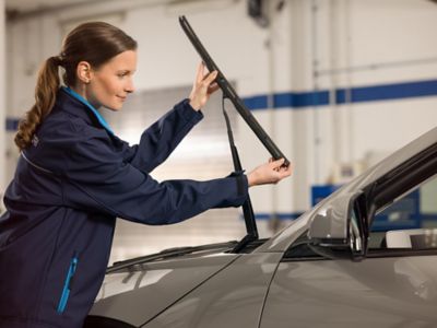 Owner Benefits | Hyundai Motor UK