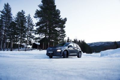 Hyundai Kona i veinterlandskap. Foto.