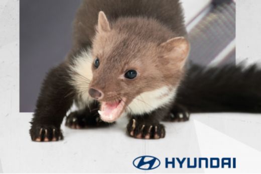 Präventive Marderabwehr: Hyundai Zubehör schützt vor teuren Schäden