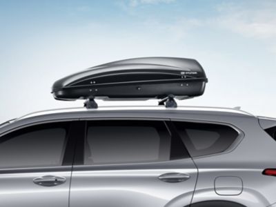 Roof rails hyundai santa fe hot sale