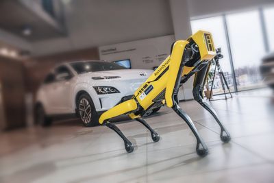 Roboten Spot i et Hyundailokale. Foto.