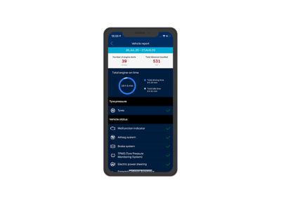 Screenshot di app Bluelink su iPhone: informazioni sulla salute dell’auto.