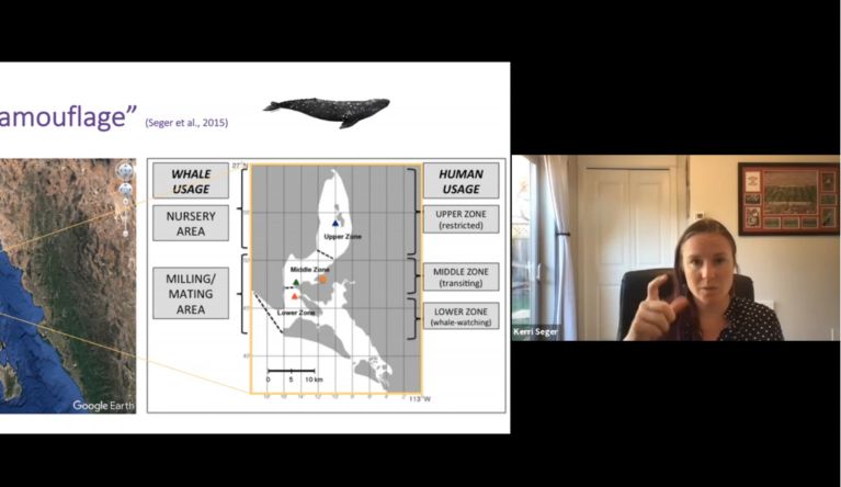 A specialist in bio-acoustics, water, and the sounds of marine animals, Dr. Kerri Seger describes aural camouflage among whales.