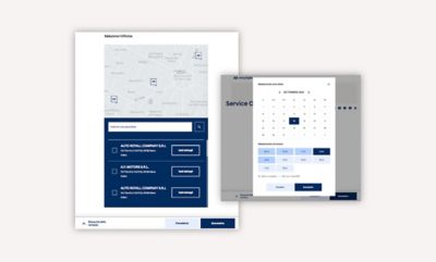 Schermata di prenotazione Online di interventi di assistenza 