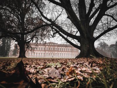 Immagine di paesaggio naturale con alberi contenuto creato da utente