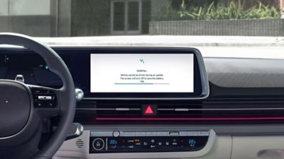 panel next to the steering wheel with softaware update notification