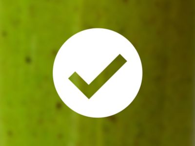 Hyundai's Plant-based challenge recipe checkmark.