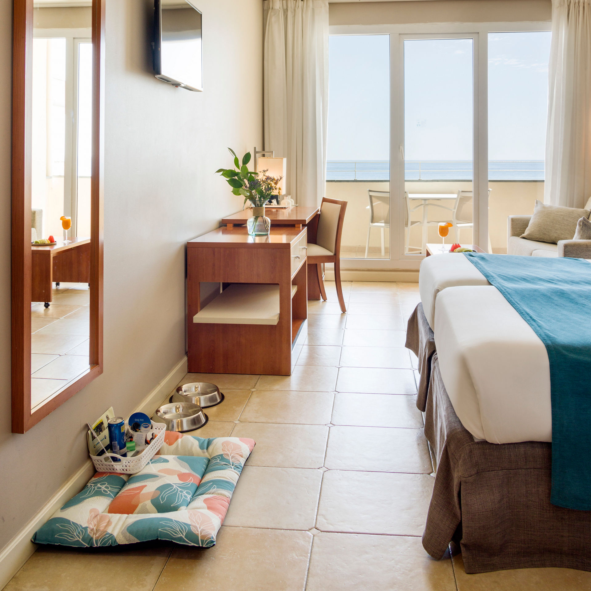 agua, cama y chuches para mascota