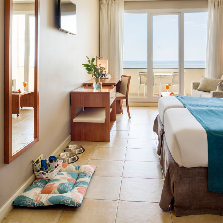 agua, cama y chuches para mascota