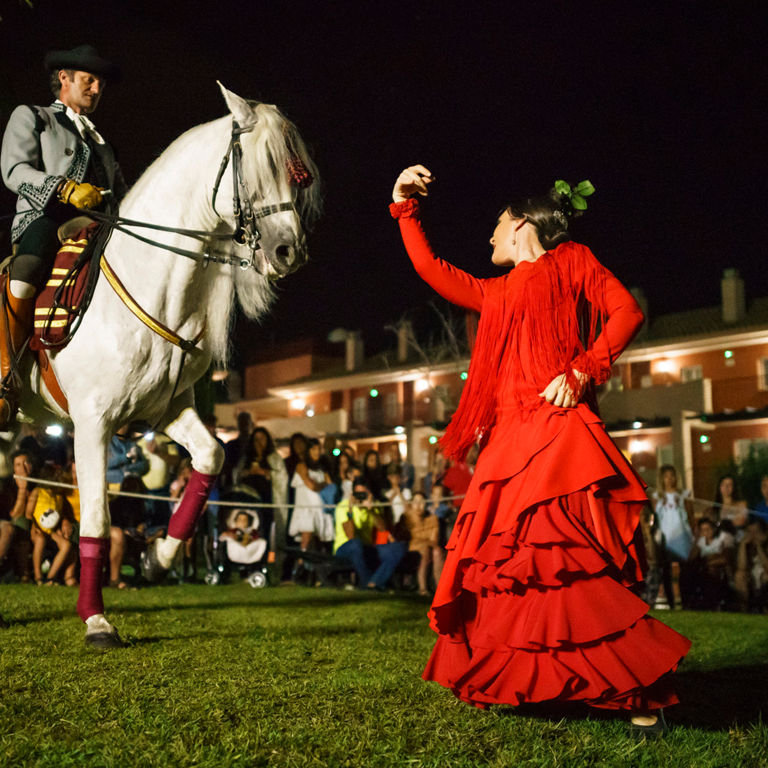 Enlace a la página de servicios del hotel ILUNION Sancti Petri