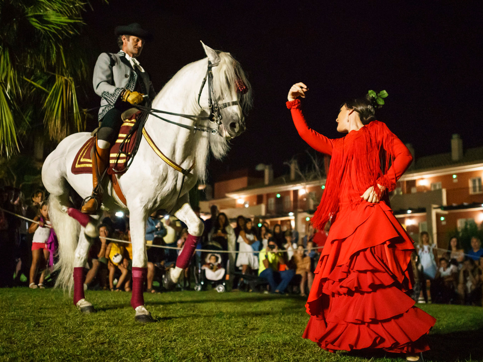 la imagen muestra un baile flamenco con un caballo