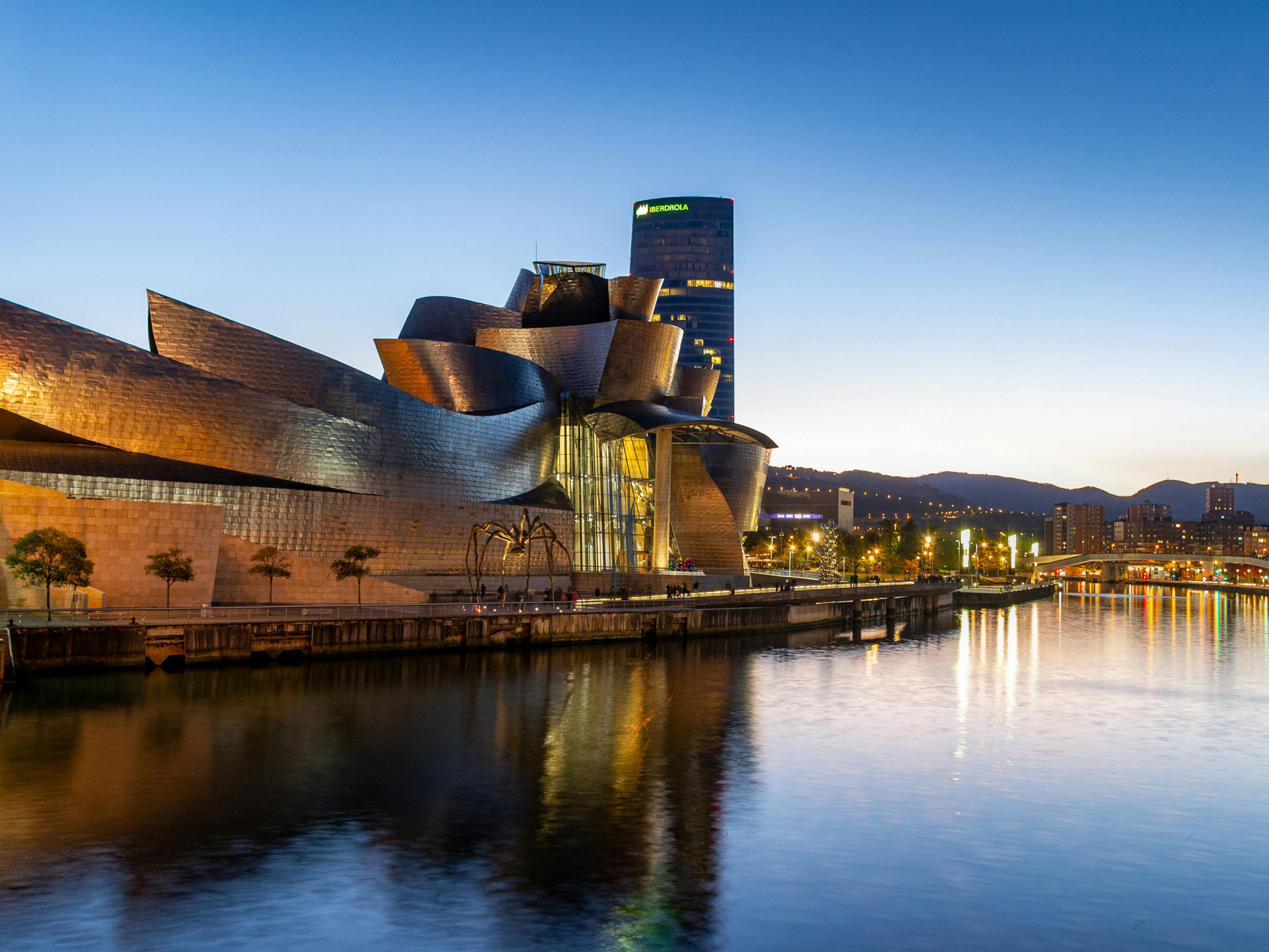  Museo Guggenheim Bilbao