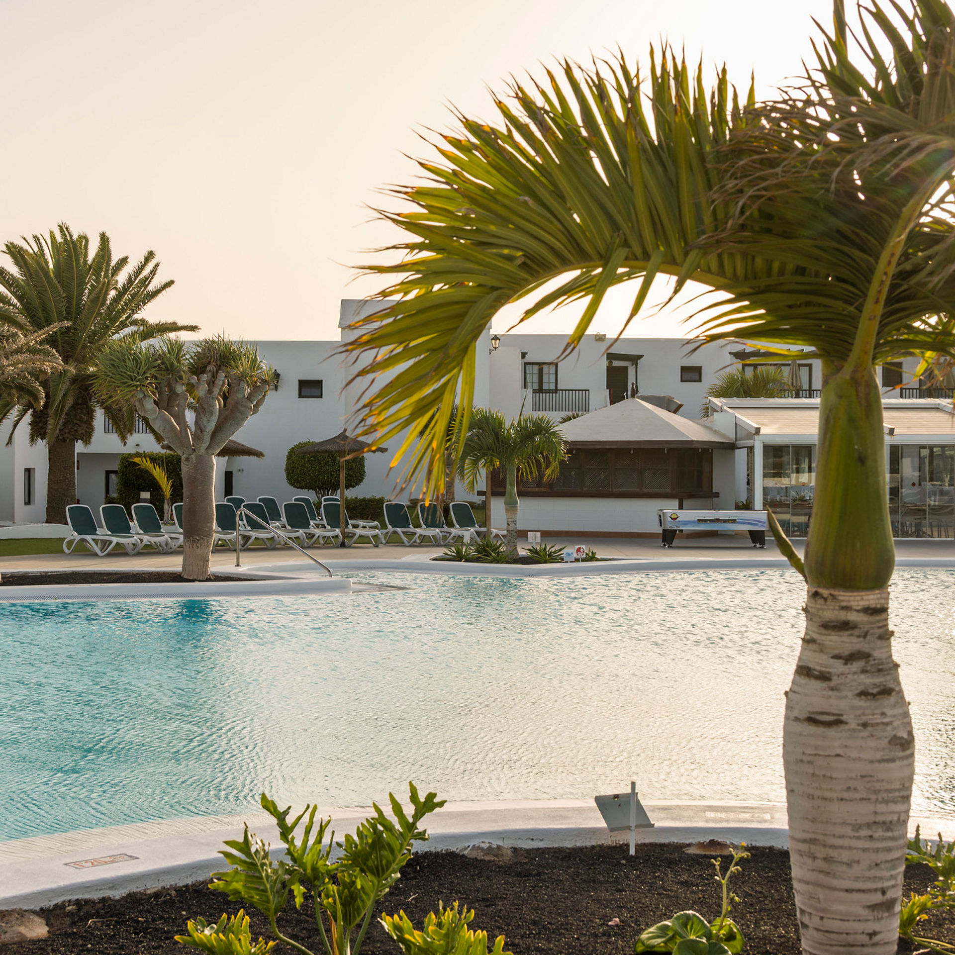 piscina del hotel con palmeras alrededor