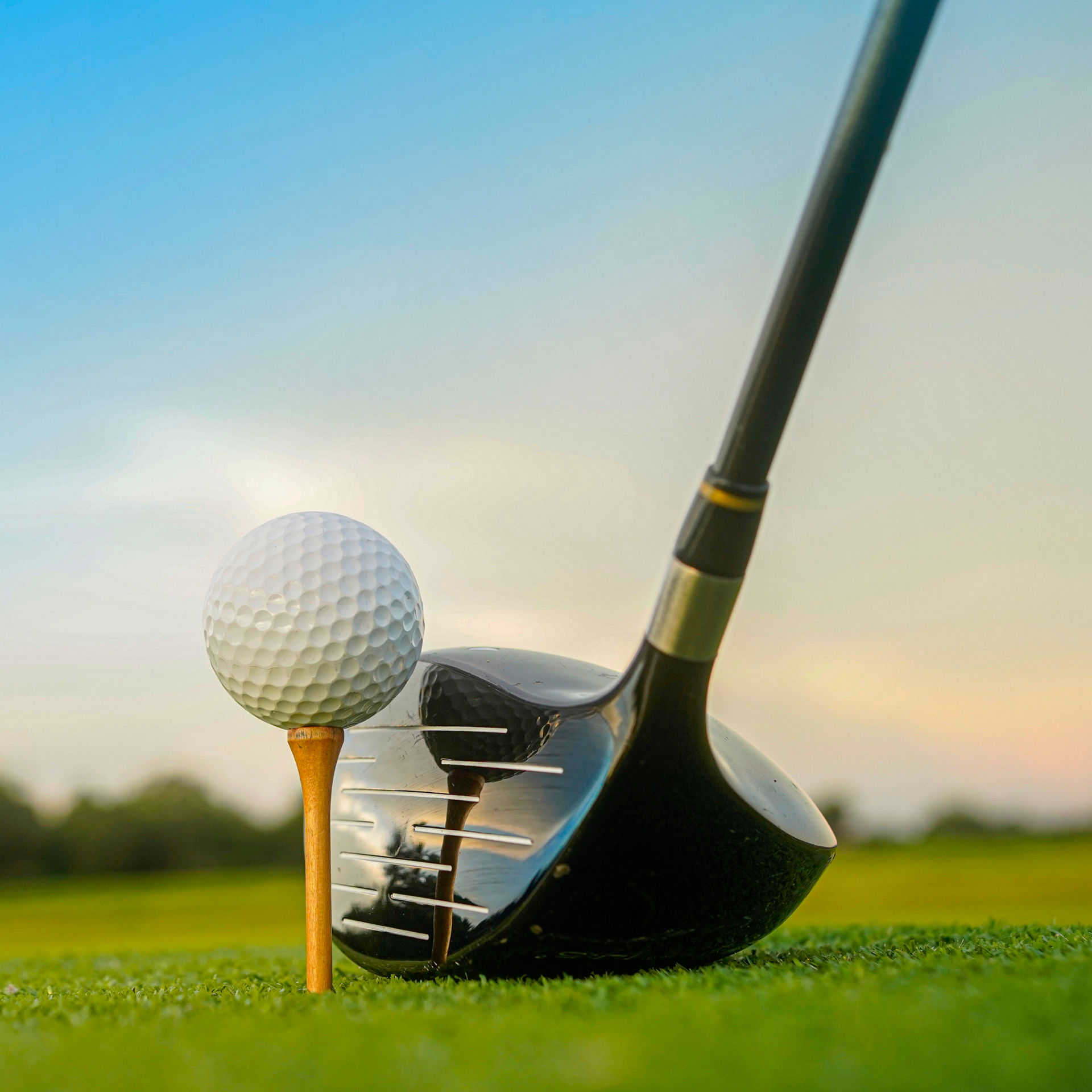 pelota de golf