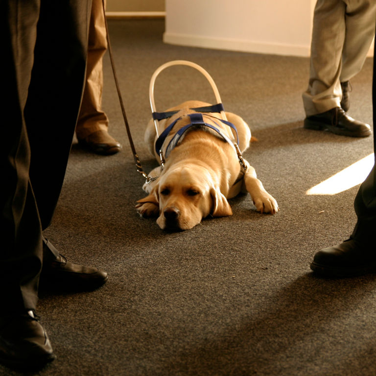 échangez vos points