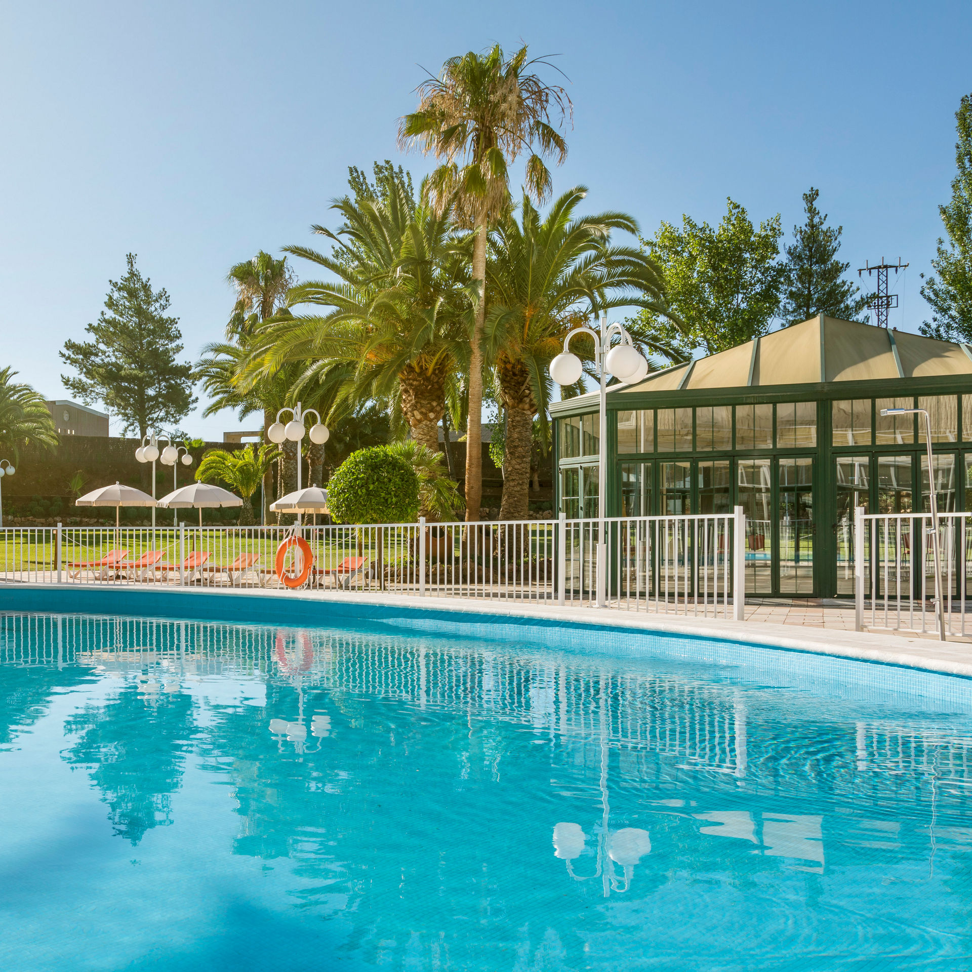 piscina exterior rodeada de palmeras