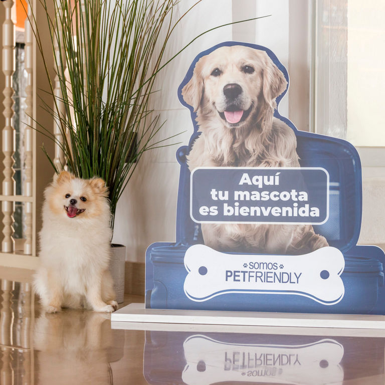 Haz click sobre la imágen para entrar en la categoría