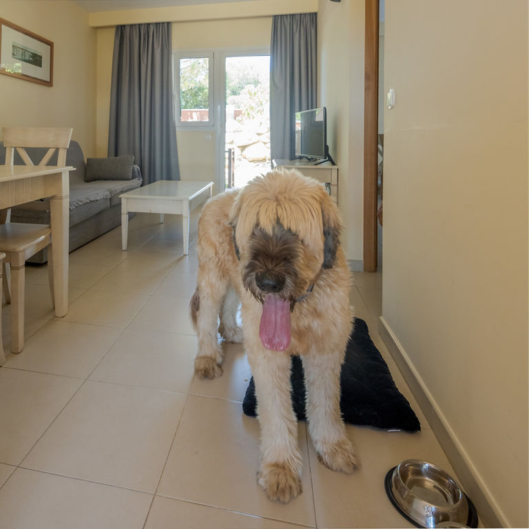 échangez vos points